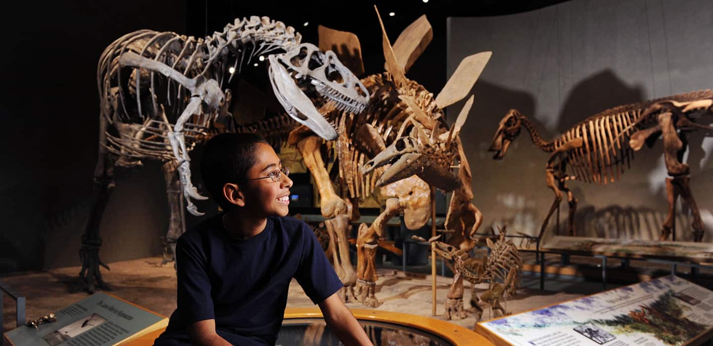 hero_references_A night at the museum_hero1440x700